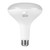 Main image of a ESL Vision ESL-BR40-13W-12750 LED BR40 light bulb