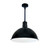 Main image of a Nora Lighting NRLM-16ST2530BWLE4/12 LED  fixture