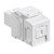 Leviton | 41085-SEC-LV | 41085-SEC