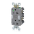 Leviton | GFNL2-HGG-LV | GFNL2-HGG