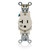 Leviton | W5361-T-LV | W5361-T