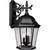 Progress Lighting | P5690-31-PR | P5690-31