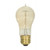 Satco | S2424-S | S2424