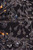 Maxim 39747BCPC-MX 39747BCPC