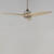 Maxim | 88831CHL-MX | 88831CHL
