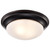 SATCO | 60-3176-S | 60-3176