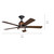 Kichler 300052DBK-KCH 300052DBK