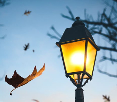 lampost light with fall leaves and bare tree in background