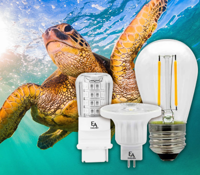 Turtle Safe Light Bulbs