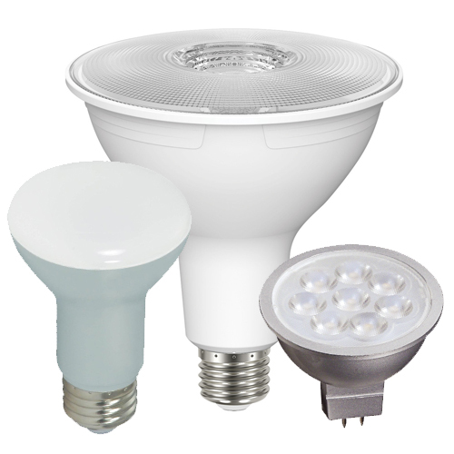 LED Flood Light Bulbs