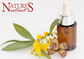 7 Benefits of Eucalyptus Massage Oil