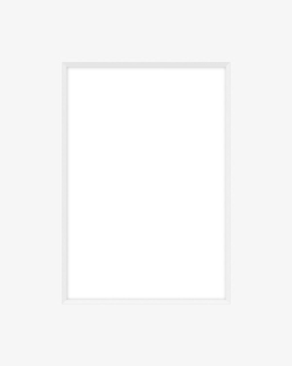 5x7 Conservation Mat Board - Blank