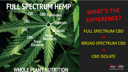 FULL SPECTRUM CBD vs BROAD SPECTRUM CBD vs CBD ISOLATE | WHAT'S THE DIFFERENCE?