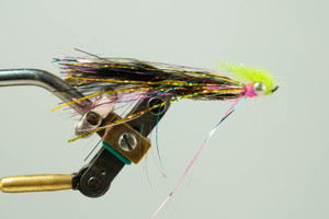 The Grapefruit Leech