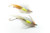 Featured Baitfish Swung Fly--The Codebreaker!