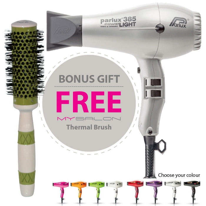 Parlux 385 Power Light Ceramic and Ionic Hair Dryer Silver With