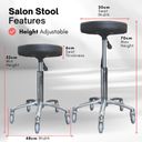 Salon Stool