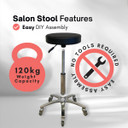 Salon Stool