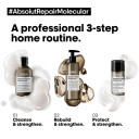 L'Oréal Professionnel Absolut Repair Molecular Liquid Rinse Off Serum 250ml