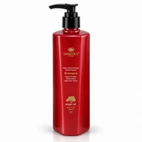 Angel Argan Active Oxygen Instant Repair Shampoo 300ml