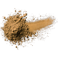 Palladio Mineral Loose Eye Shadow - Golden Sunset