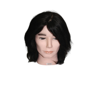 Adam Male Mannequin Head