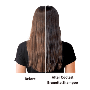 Muvo Professional Coolest Brunette Shampoo 500ml