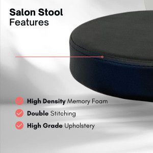 Salon Stool