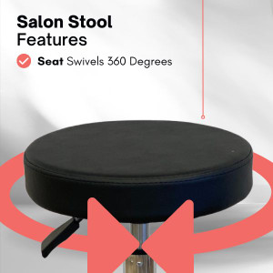 Salon Stool