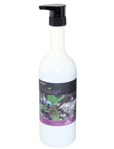 WonderLand  Blueberry Colour-Lock Shampoo 1Litre
