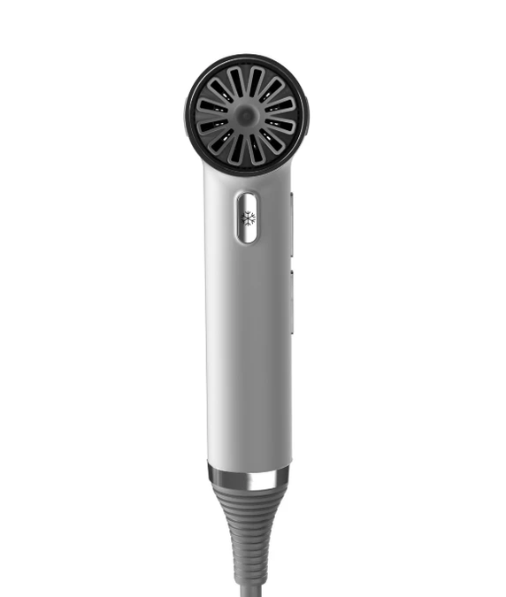 Gama Professional IQ Perfetto Blow Dryer