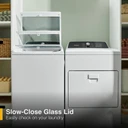 Whirlpool® 5.2 Cu. Ft. I.E.C. Top Load Agitator Washer with Built-In Faucet WTW5025SW