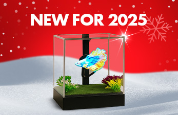 New Gifts for 2025 at Menkind - shop now!