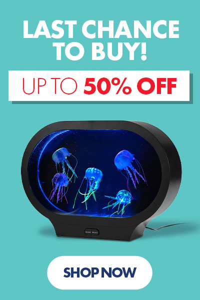 Last Chance to buy Save up to 50% Off