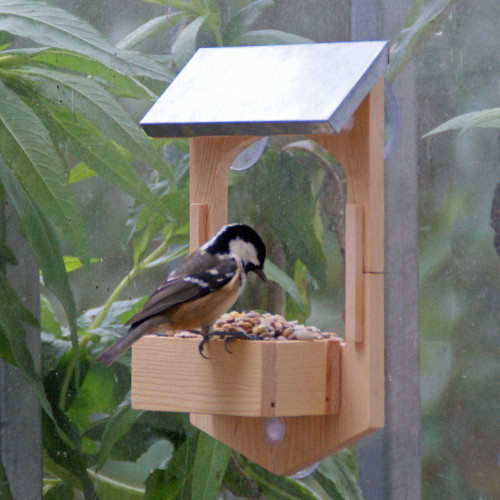 Build Your Own Birdfeeder Gift in a Tin