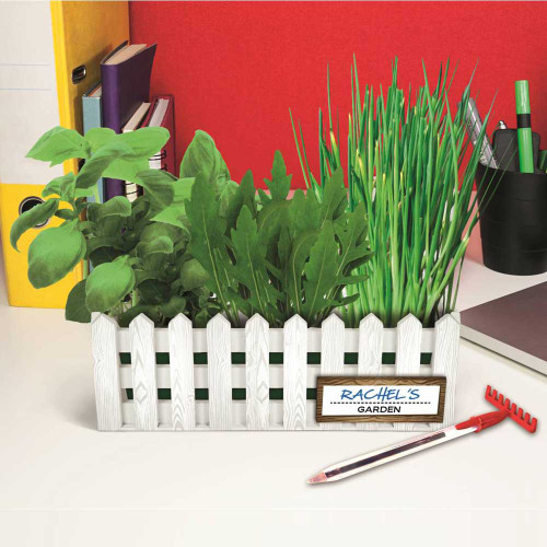 Desktop Garden - Salad