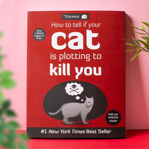 How To Tell If Your Cat Is Plotting To Kill You