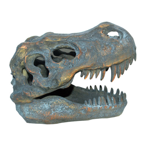 Tyrannosaurus Rex Skull