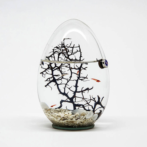 Beachworld Glass Egg with Gorgonia Ecosystem