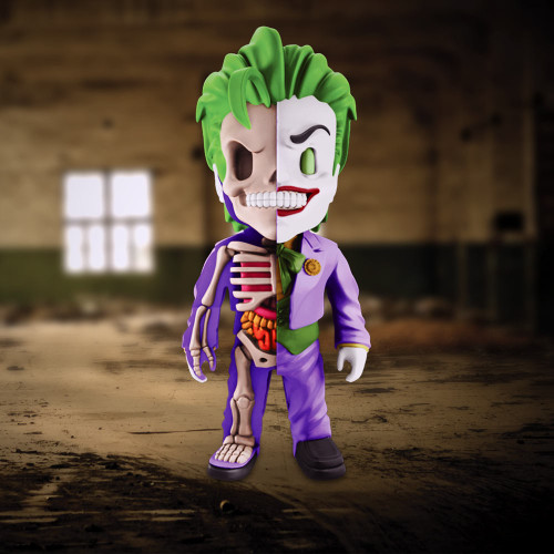 Joker Anatomy Figure