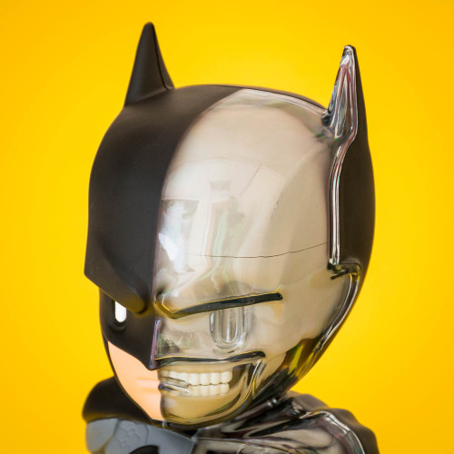 4D Batman Anatomy Figure