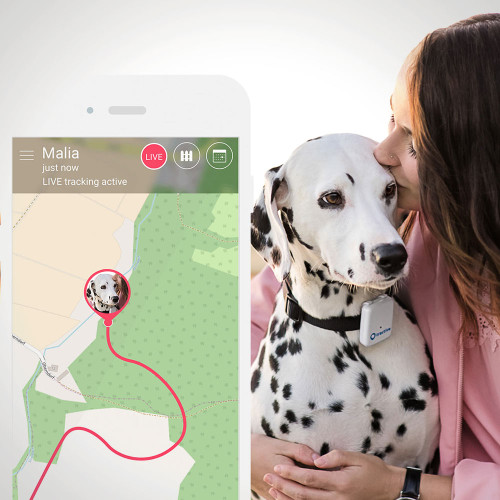 Tractive GPS – Pet Tracker