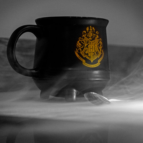 Harry Potter Hogwarts Crest Ceramic Cauldron Mug