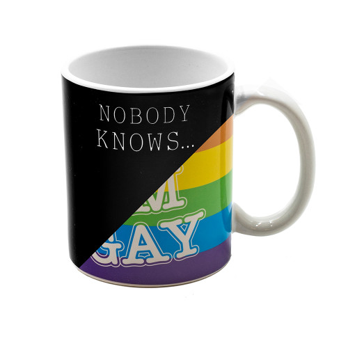 Nobody Knows I'm Gay Heat Change Mug