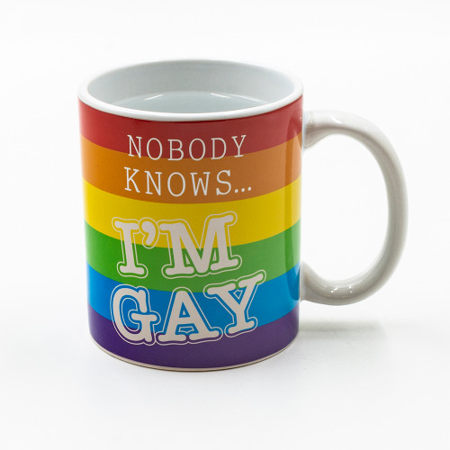 Nobody Knows I'm Gay Heat Change Mug