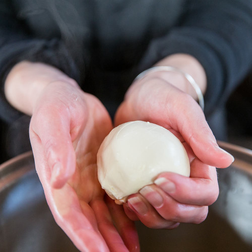 Italian Cheese Making Kit