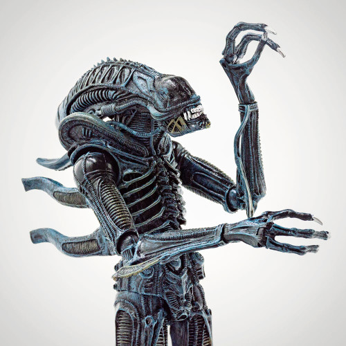 Aliens Alien Warrior 7" Figure Assorted