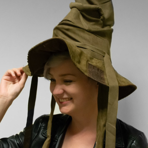 Harry Potter Sorting Hat
