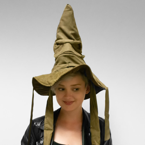 Harry Potter Sorting Hat