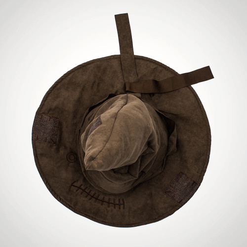Harry Potter Sorting Hat